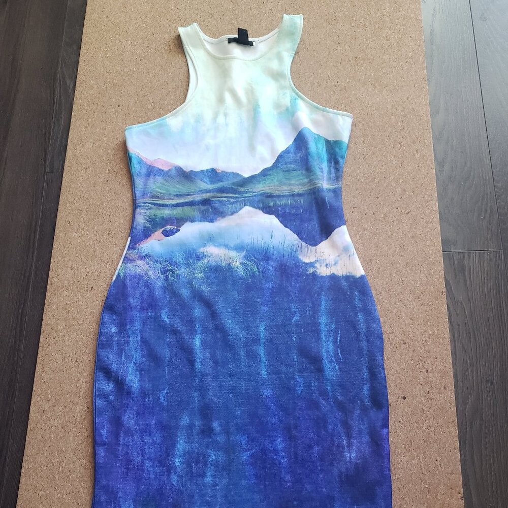 ZARA Knee length bodycon dress - Size small - Beautiful landscape pattern